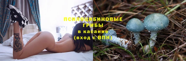 амфетамин Алексеевка