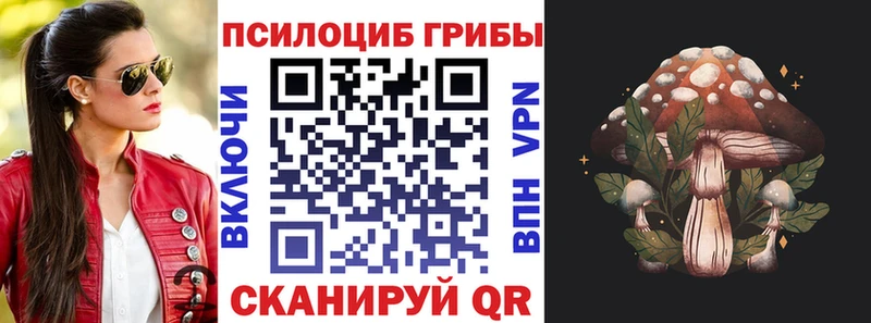 Псилоцибиновые грибы Cubensis  Шахты 